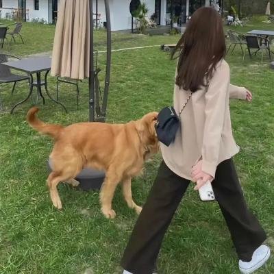 家用摄像头